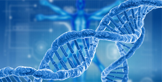 Solicitud de Agitador de incubadora in Biología Molecular y Genética